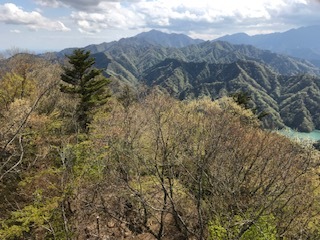 仏果山山頂から大山を望むブログ用.JPG