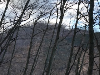 仏果山登山道から高取山を望むブログ用.JPG
