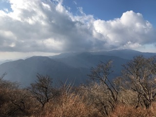 大山山頂-富士山方向ブログ用.JPG