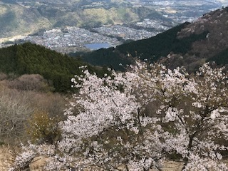 高取山山頂から愛川町の街並みを望むブログ用.JPG
