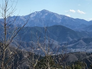 高尾山山頂から大山を望むブログ用.JPG